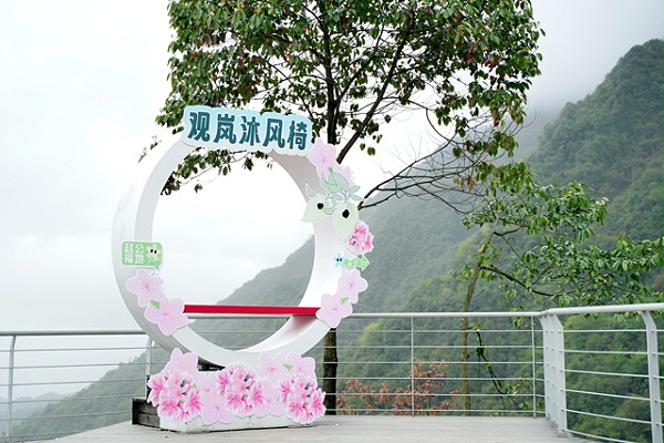汶川赏花音乐季：光影交织的户外文旅盛宴