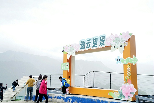 汶川赏花音乐季：光影交织的户外文旅盛宴