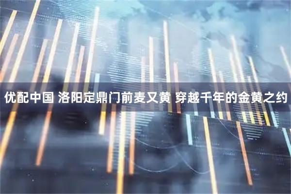 优配中国 洛阳定鼎门前麦又黄 穿越千年的金黄之约